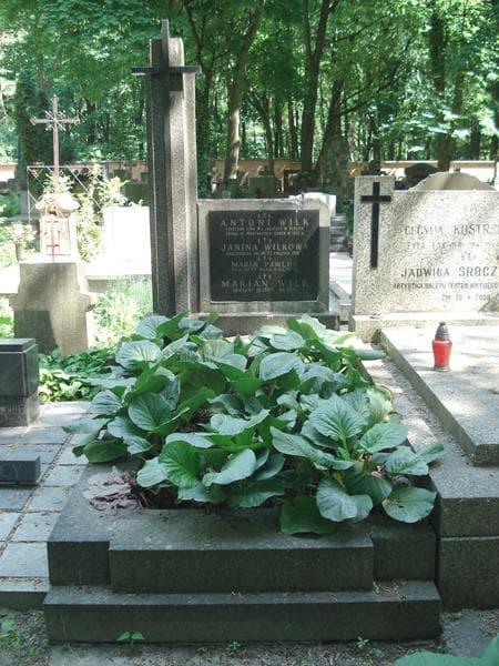 Zdjęcie grobu: Maria Pawluś