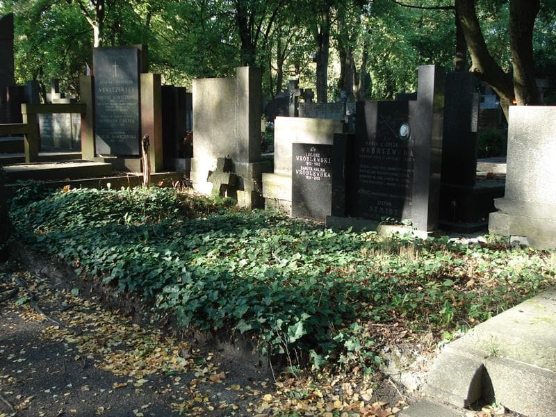 Zdjęcie grobu: Marja Wróblewska