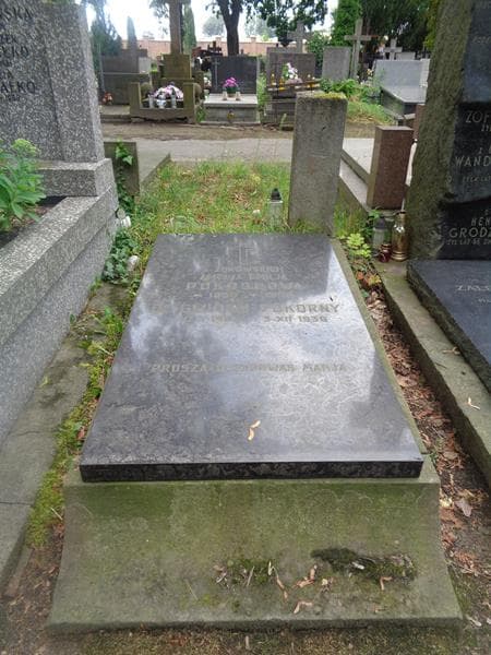 Zdjęcie grobu Gwidon Pokorny (1)