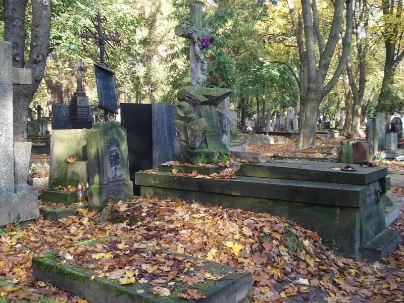Zdjęcie grobu ... Zawiślak (1)