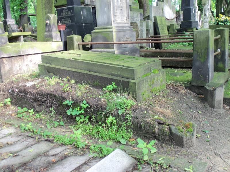 Zdjęcie grobu Leonard Bieniedzki (1)