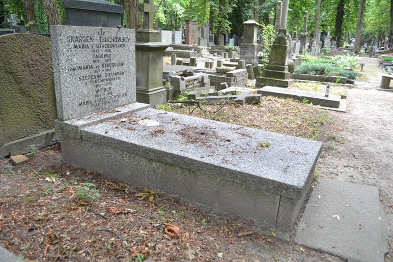 Zdjęcie grobu: Maria Tłuchowska