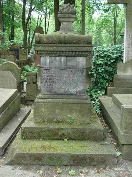 Zdjęcie grobu: Tadeusz Zbigniew Hanusz