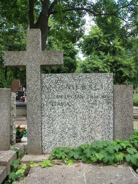 Zdjęcie grobu Julian Lucjan Leśniewski (2)
