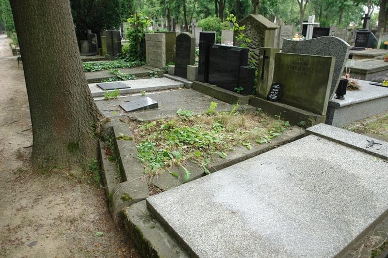 Zdjęcie grobu: Stanisław Tomkiewicz