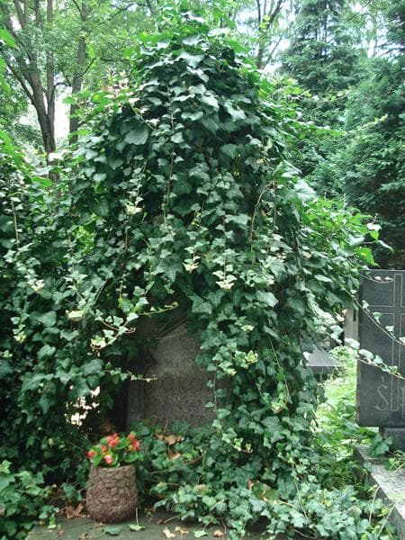 Zdjęcie grobu Józefa Okoń (1)