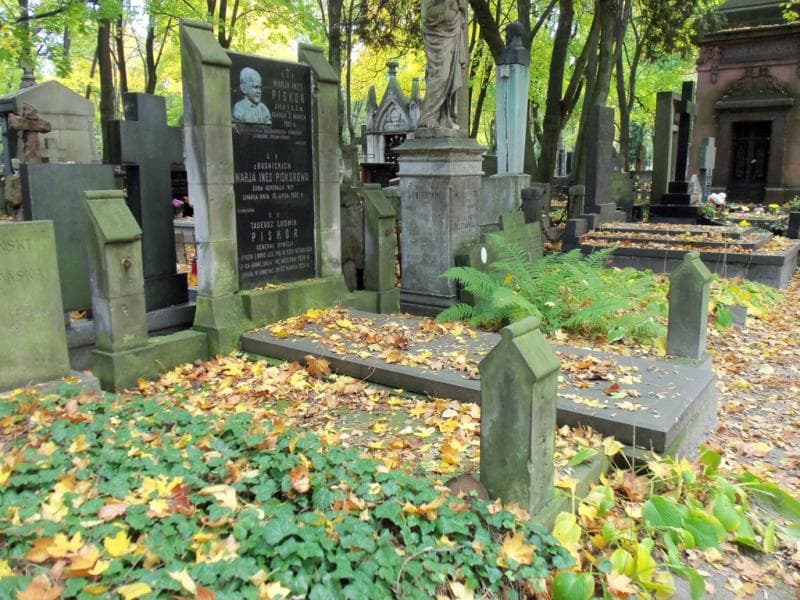 Zdjęcie grobu Tadeusz Ludwik Piskor (1)