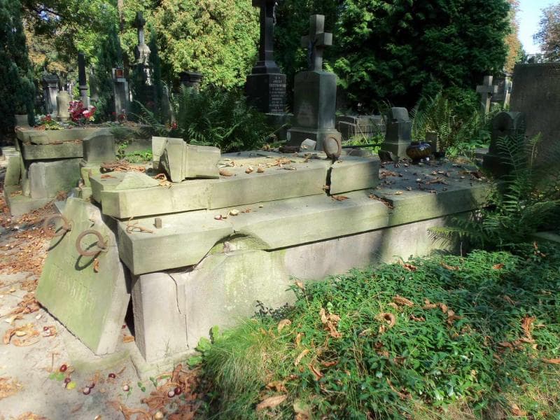 Zdjęcie grobu Mieczysław Pułaski (1)