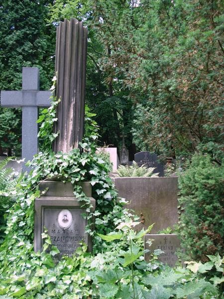 Zdjęcie grobu Feliks Perzanowski (2)