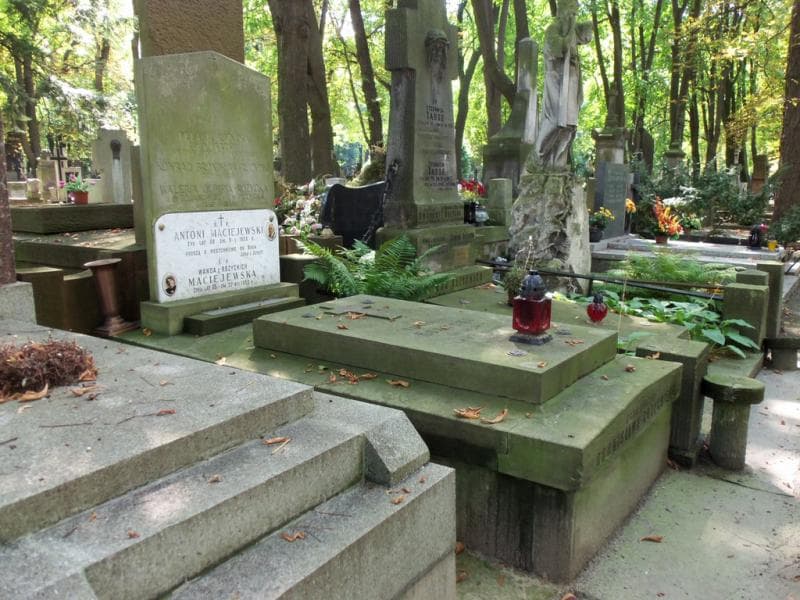 Zdjęcie grobu Wanda Maciejewska (1)