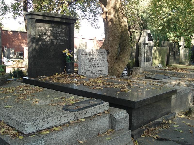 Zdjęcie grobu Jadwiga Hartmanowa (1)