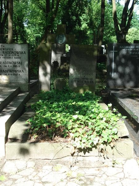 Zdjęcie grobu: Faustyna Rybińska