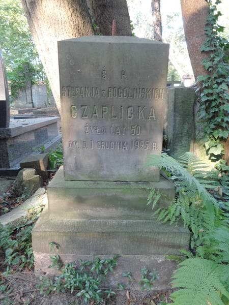 Zdjęcie grobu Stefanja Czaplicka (2)