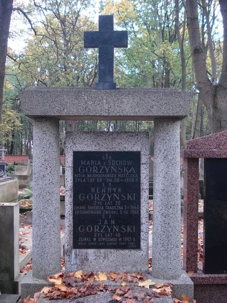Zdjęcie grobu Henryk Górzyński (2)