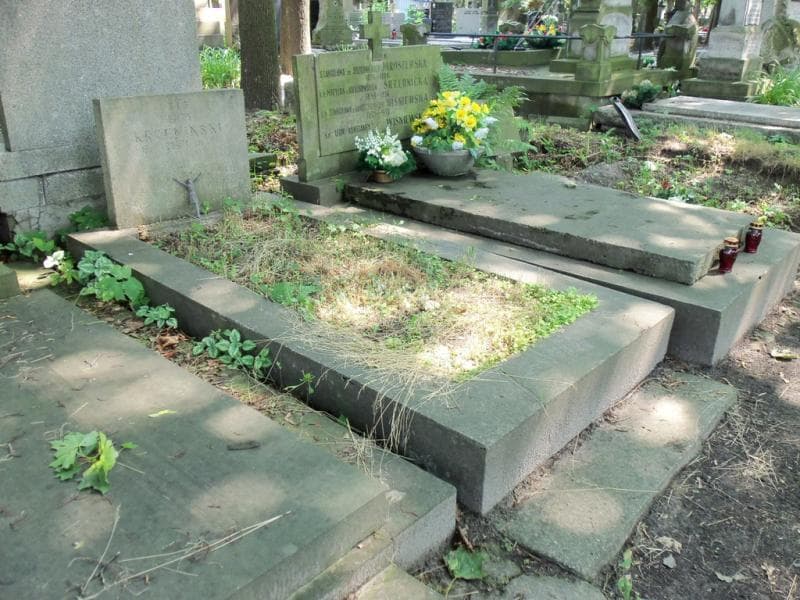 Zdjęcie grobu Henryk Krzemiński (1)
