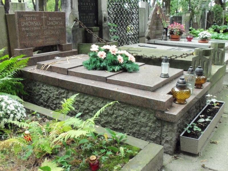 Zdjęcie grobu Zuzanna Dmowska (1)