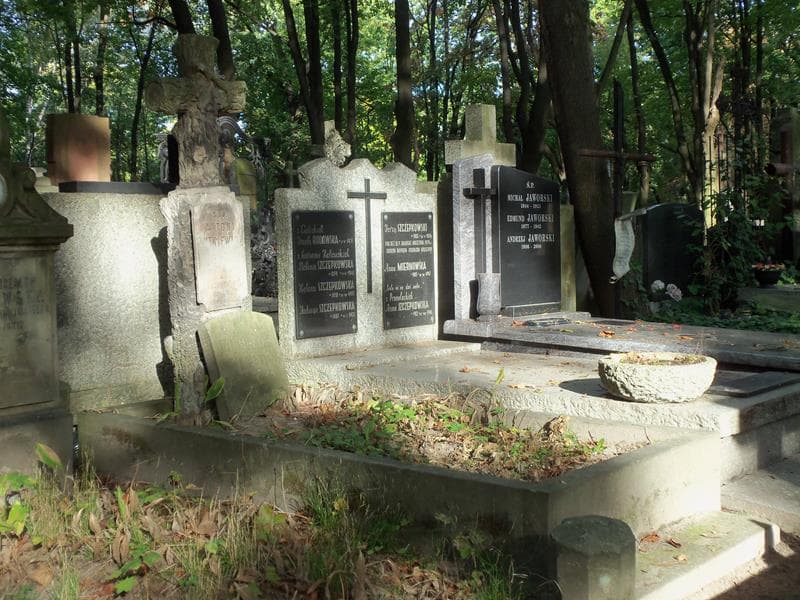 Zdjęcie grobu Jadwiga Dutkiewicz (1)