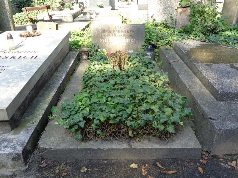Zdjęcie grobu: Zofia Formanek