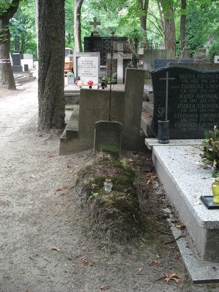 Zdjęcie grobu: Aluchna Siecińska