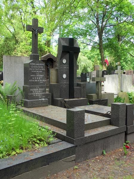 Zdjęcie grobu Władysław Cieślicki (1)
