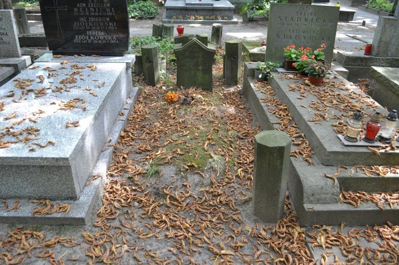 Zdjęcie grobu Paweł Jabłoński (1)