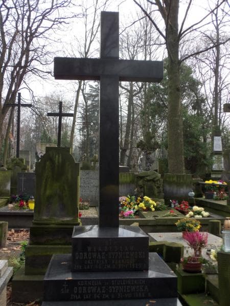 Zdjęcie grobu Stanisław Odrowąż - Sypniewski (2)