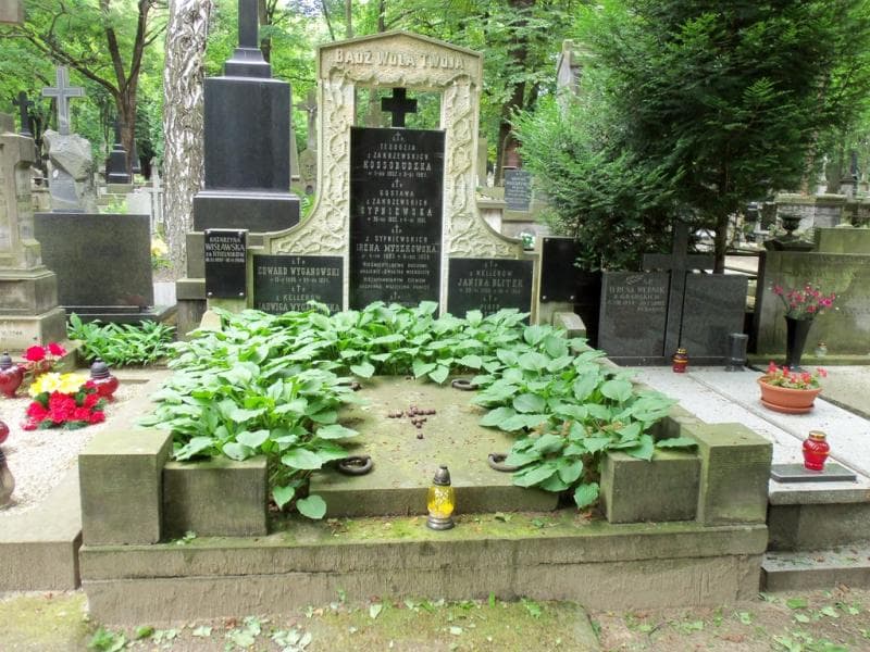 Zdjęcie grobu: Edward Wyganowski