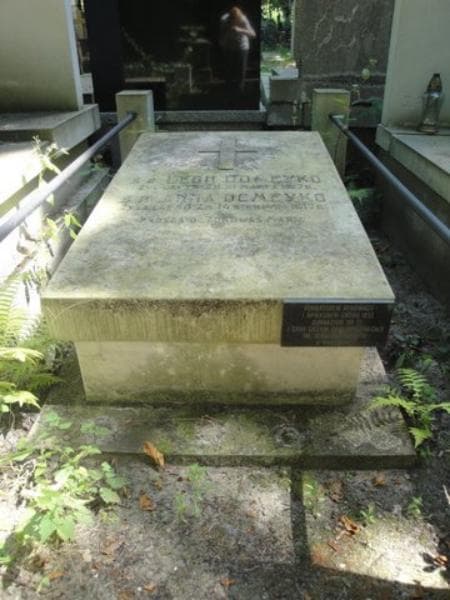 Zdjęcie grobu Anna Domeyko (2)