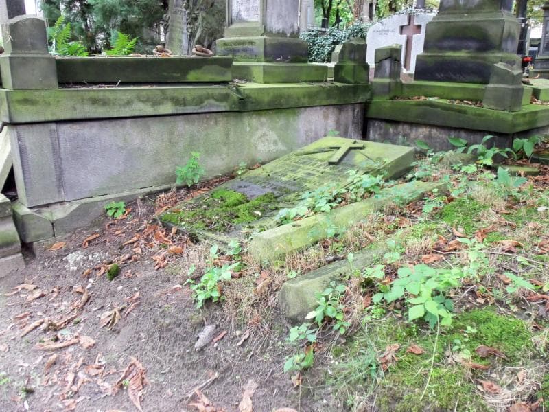 Zdjęcie grobu Marja Ludwika Zduńczykowa (1)