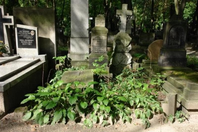 Zdjęcie grobu: Józef Adamkiewicz