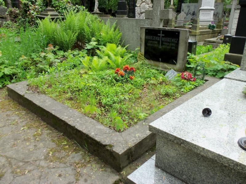 Zdjęcie grobu Tadeusz Młodziejewski (1)