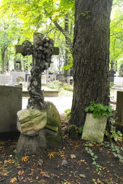 Zdjęcie grobu Rystrzanowscy (2)
