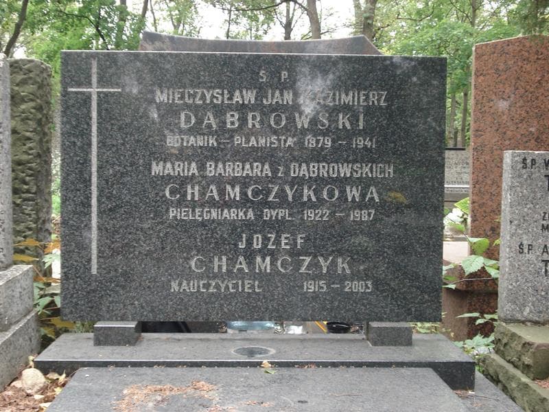 Zdjęcie grobu Józef Chamczyk (2)