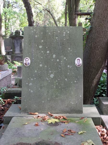 Zdjęcie grobu Wacław Michałowski (2)