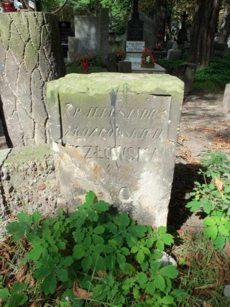 Zdjęcie grobu Aleksandra Kozłowska (1)