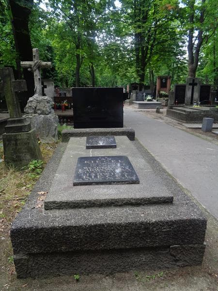 Zdjęcie grobu Teresa Jasińska (1)