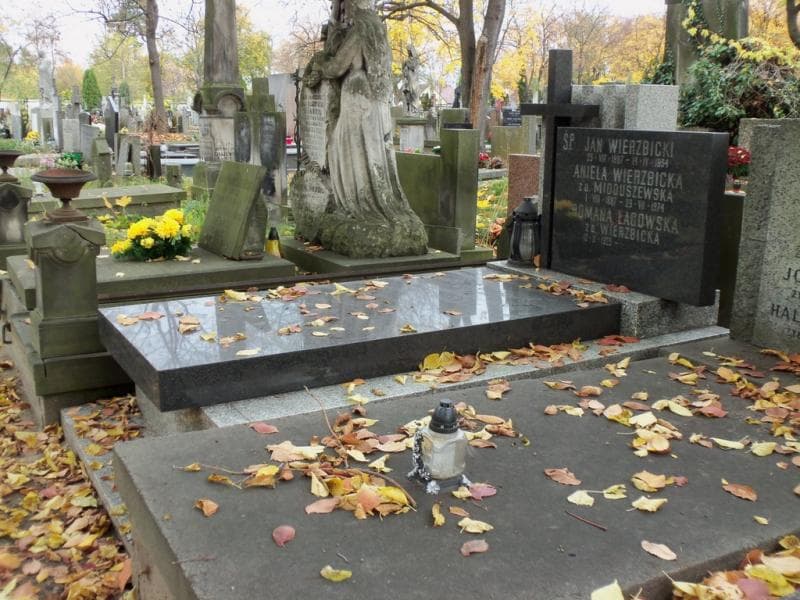 Zdjęcie grobu Feliks Dąbrowski (1)