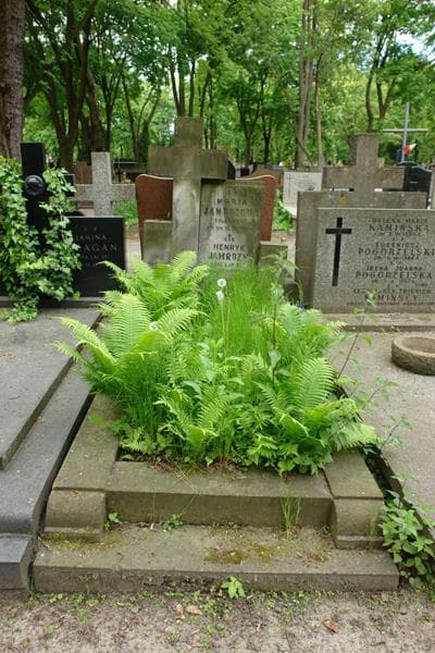 Zdjęcie grobu Maria Jamrozowa (1)