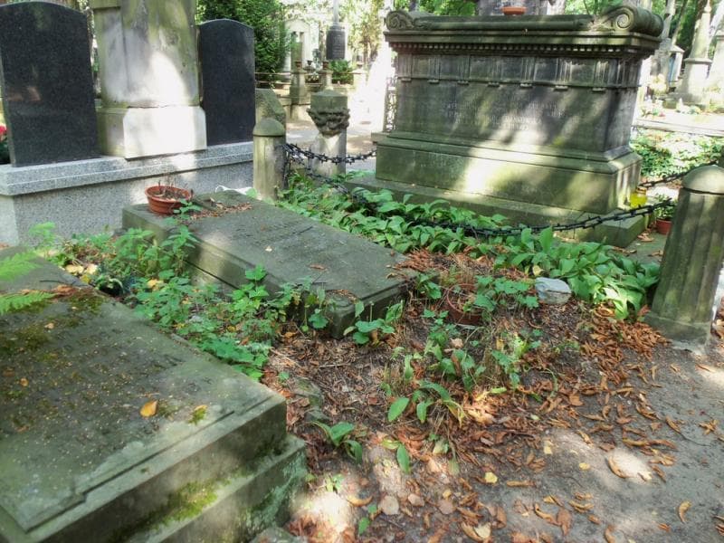 Zdjęcie grobu Marya Leśniowska (1)