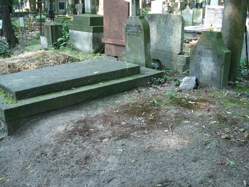 Zdjęcie grobu Stanisław Włostowski (1)