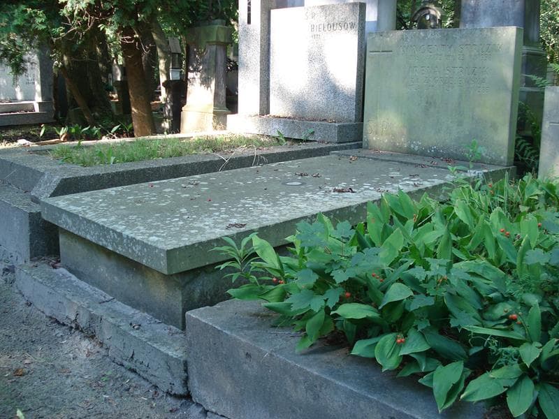 Zdjęcie grobu Wincenty Struzik (1)