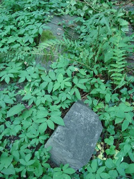 Zdjęcie grobu Pole Grobowe (1)