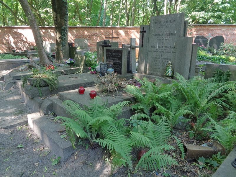 Zdjęcie grobu: Stanisława Walerjan