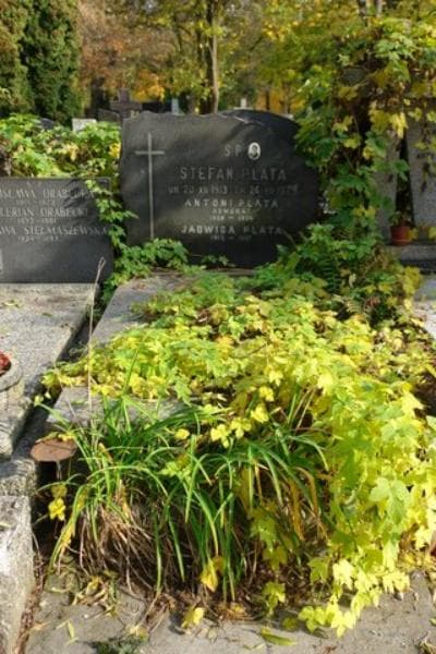 Zdjęcie grobu: Antoni Plata