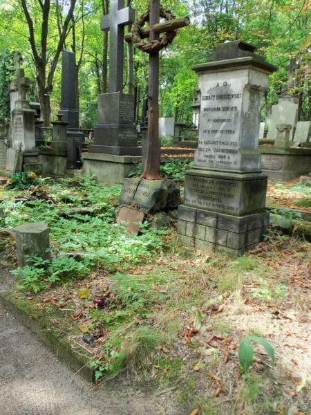 Zdjęcie grobu Emilja Zawistowska (2)