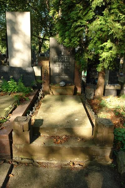 Zdjęcie grobu: Bronisława Chmielewska