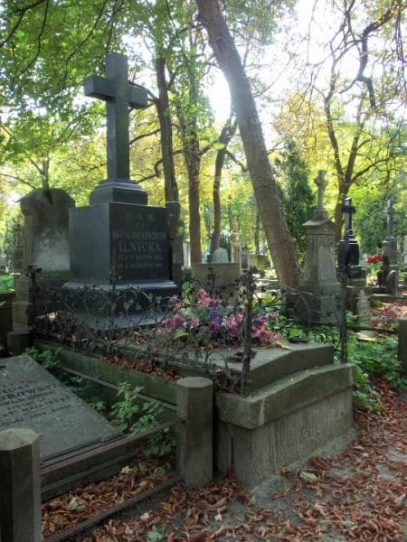 Zdjęcie grobu Marya Ilnicka (1)