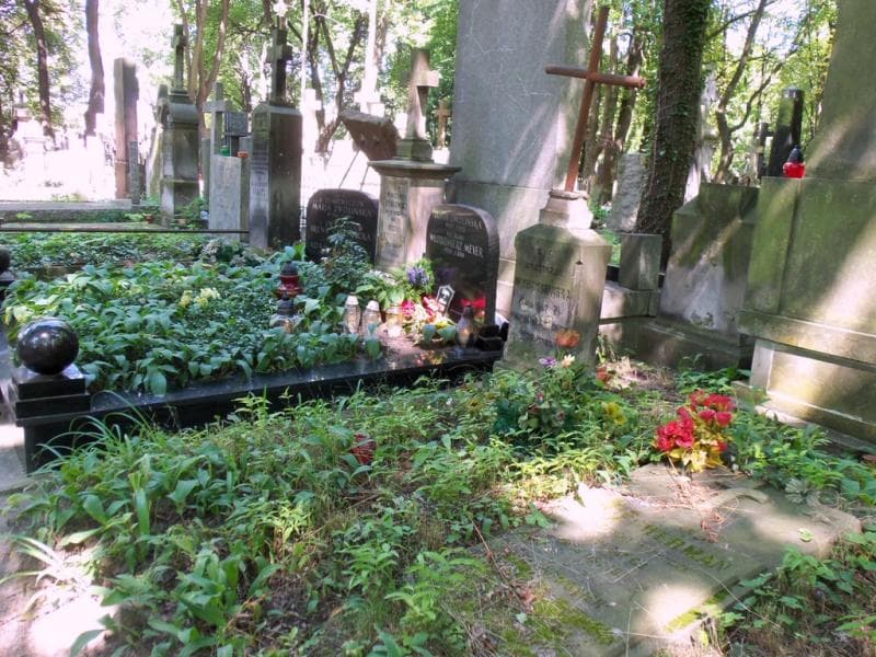 Zdjęcie grobu: Anatsazja Wyrzykowska