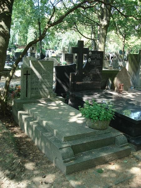 Zdjęcie grobu Leonilia Myślicka (1)