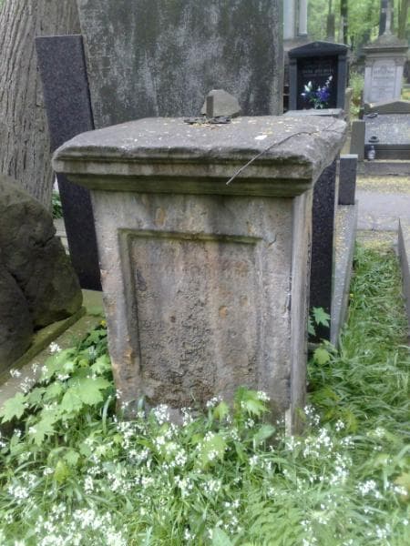 Zdjęcie grobu Ludwik Trzeszczkowski (1)